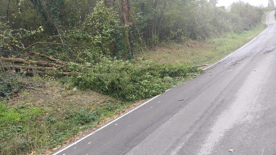 Maltempo, tutte le strade della provincia di Modena sono aperte e